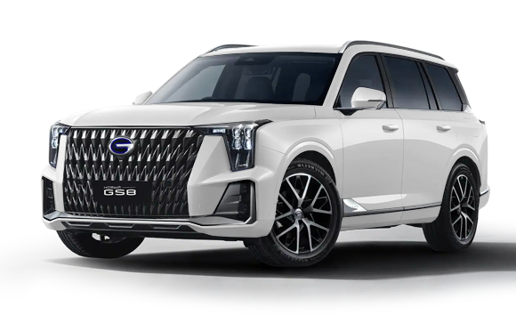 GAC GS8 ll FL Джи Икс Премиум - GX Premium 2.0 АКП полный привод (231) 26 г.в. 25 м.г.
